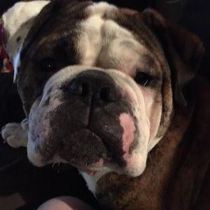 Meet your Posher, Kim